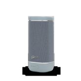 Roberts Radio REUNIONDE Portable BT Speaker - Duck Egg